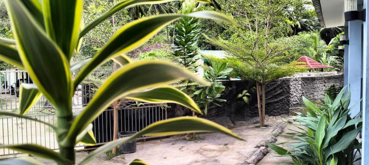 Sakila Homestay Kuta  ภายนอก รูปภาพ