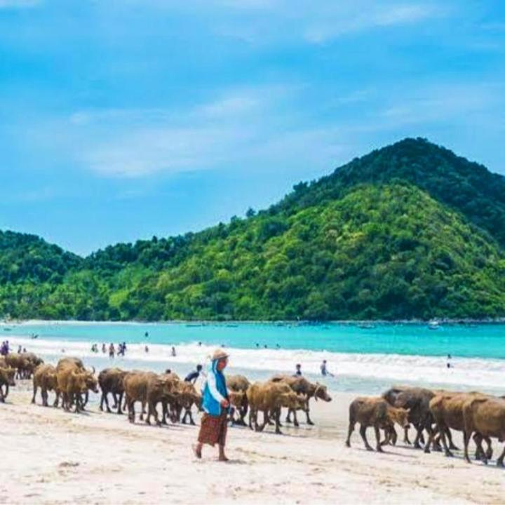 Sakila Homestay Kuta  ภายนอก รูปภาพ